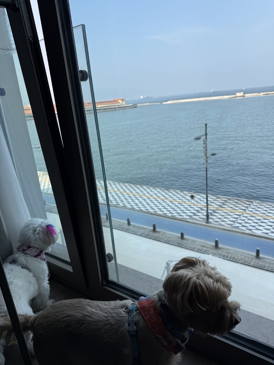 Izmir Marriott Hotel — fotoğraf 2