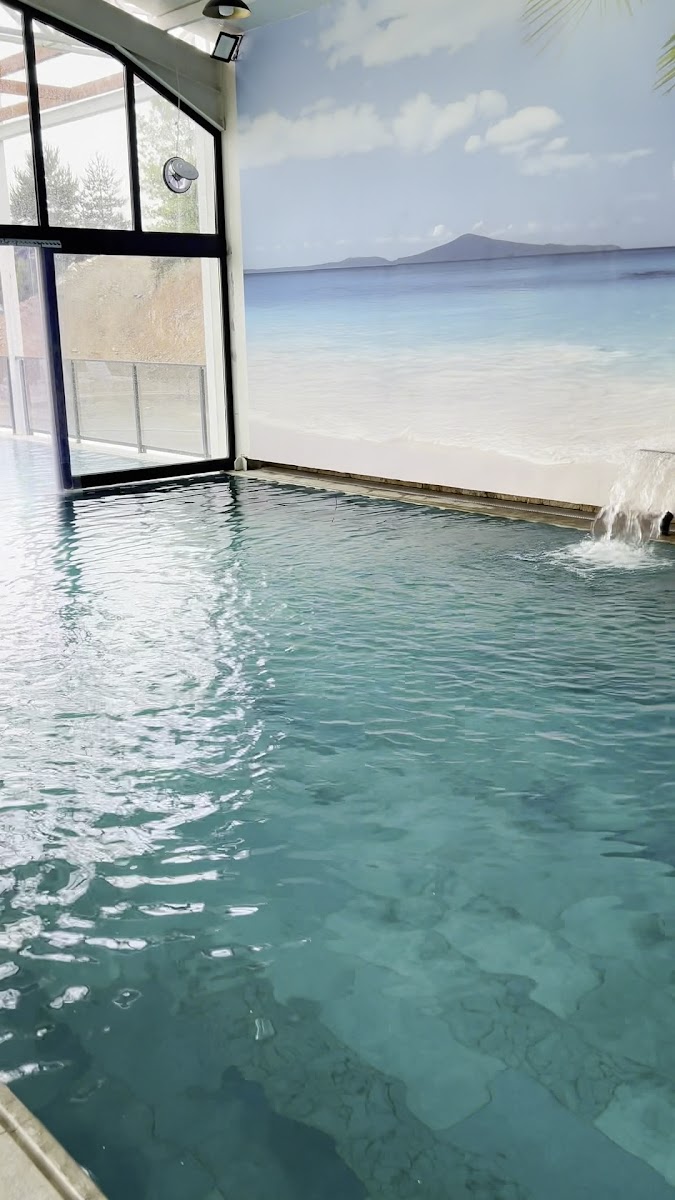 Iznik Candarli Ciftligi — fotoğraf 3