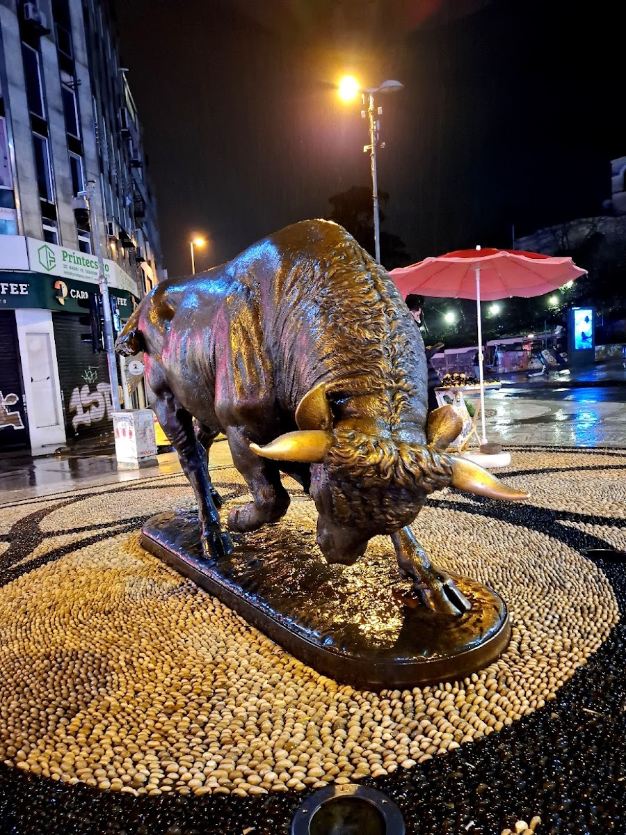 Kadıköy Boğa Heykeli — fotoğraf 2