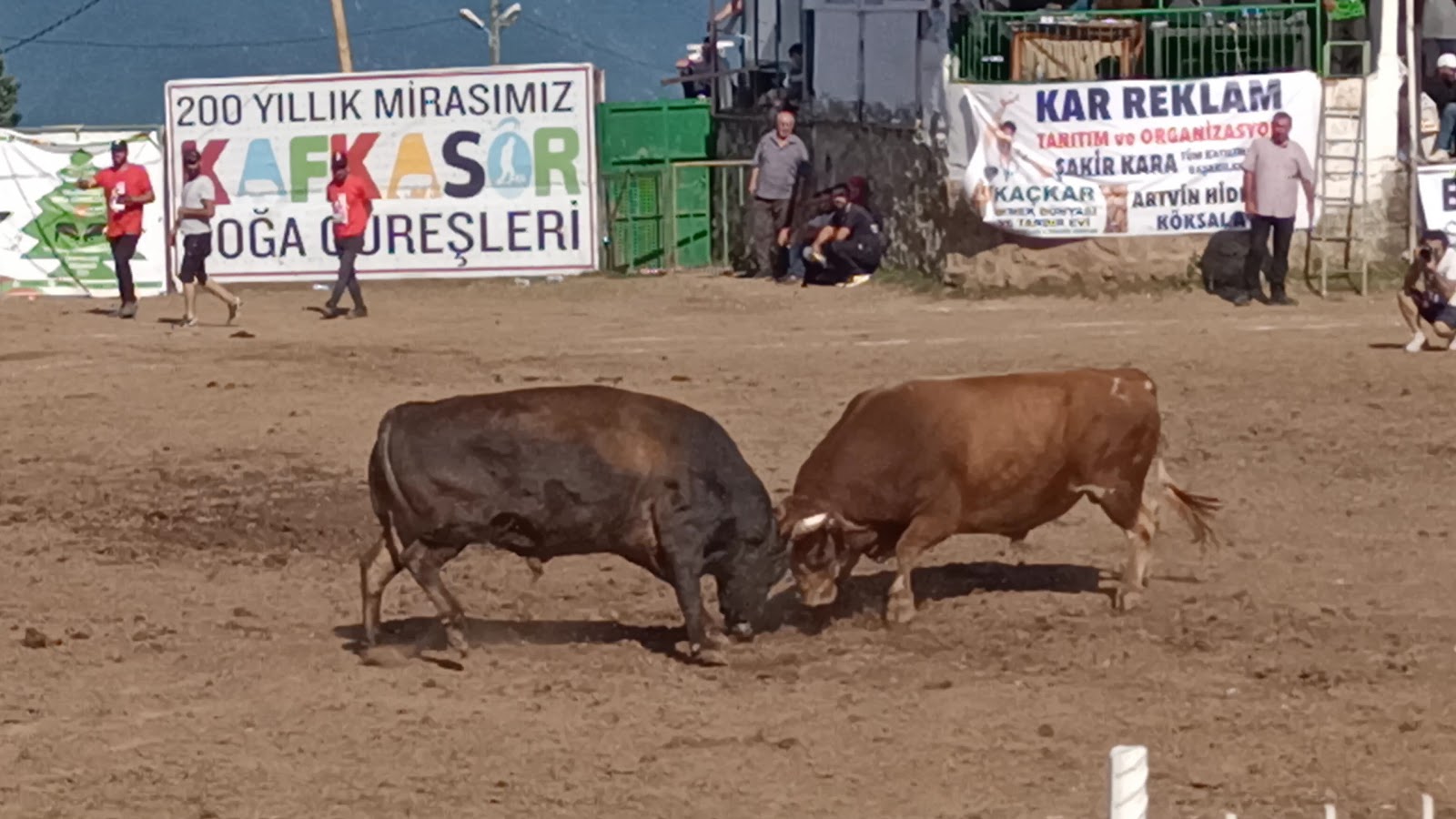 Kafkasör Boğa Güreşleri Festival Alanı — fotoğraf 3