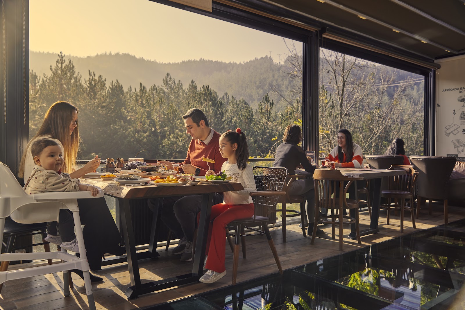 Kahve orman — fotoğraf 1