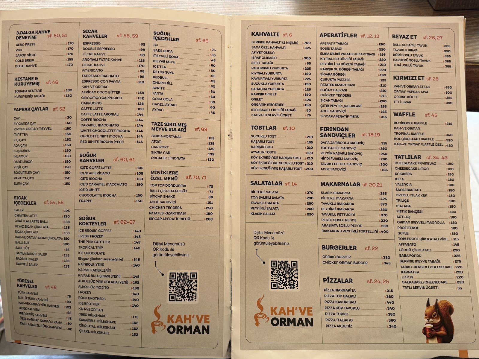 Kahve orman — fotoğraf 5