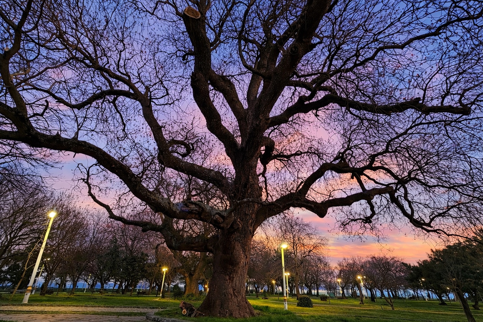 Kalamış Atatürk Parkı — fotoğraf 2