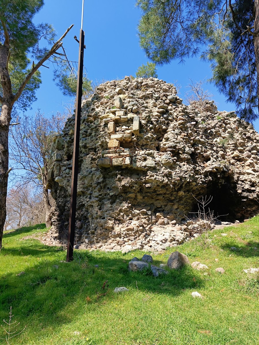 Kale — fotoğraf 1