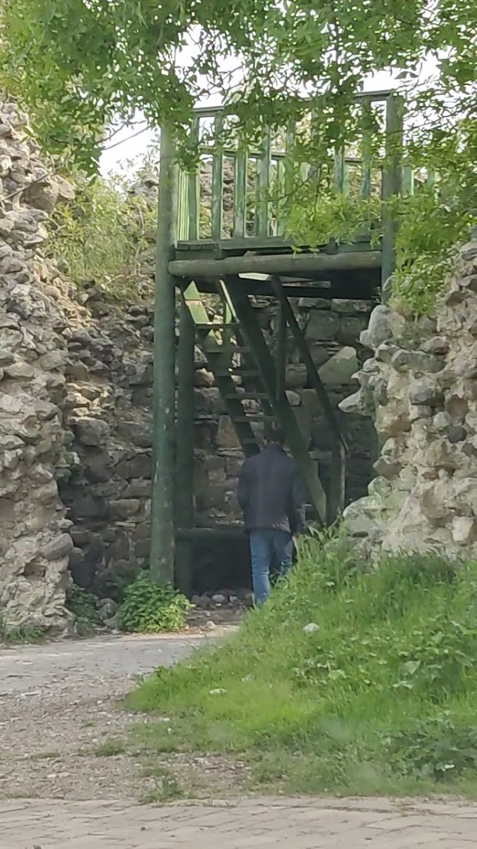 Kale — fotoğraf 3