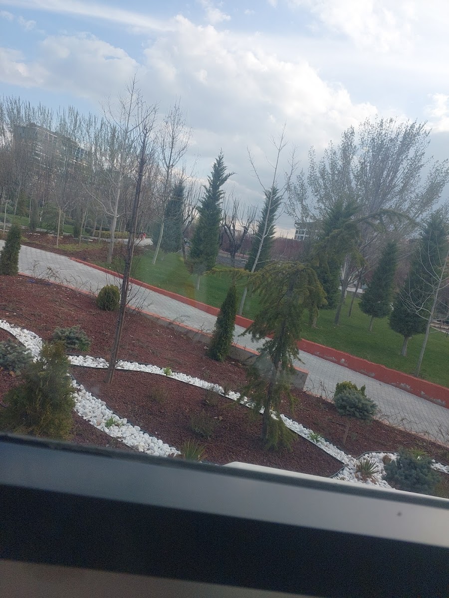 Kanyon Park — fotoğraf 2