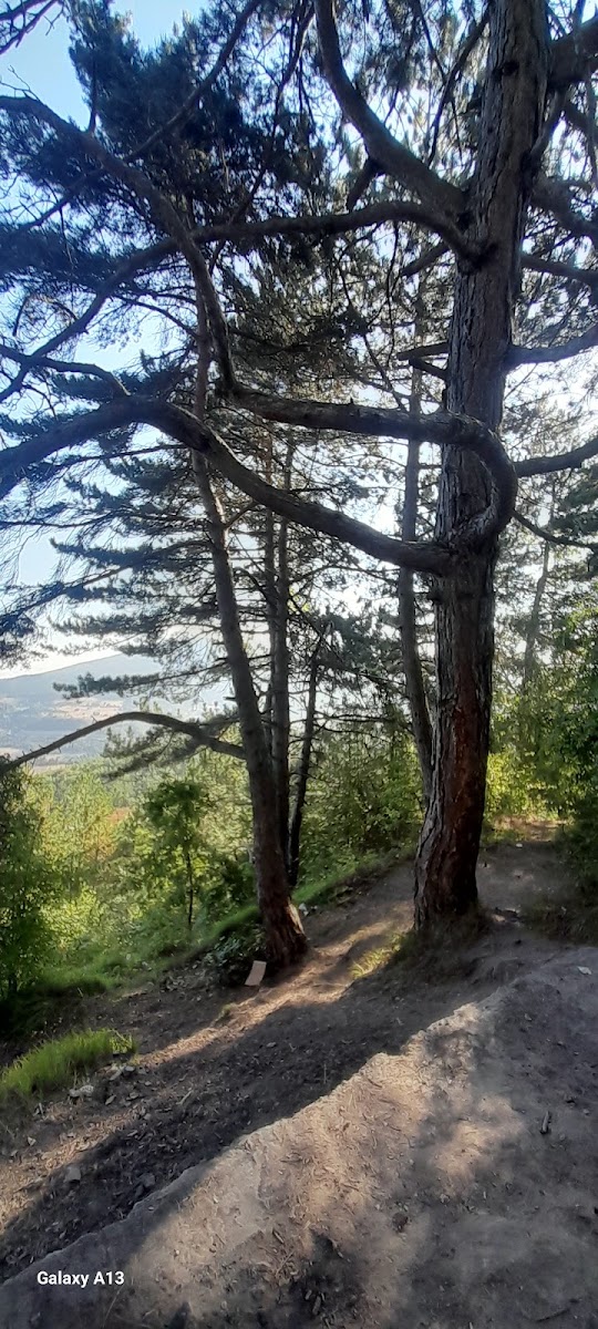 Kapaklı Mesire Alanı — fotoğraf 1