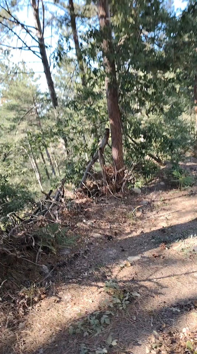 Kapaklı Mesire Alanı — fotoğraf 3