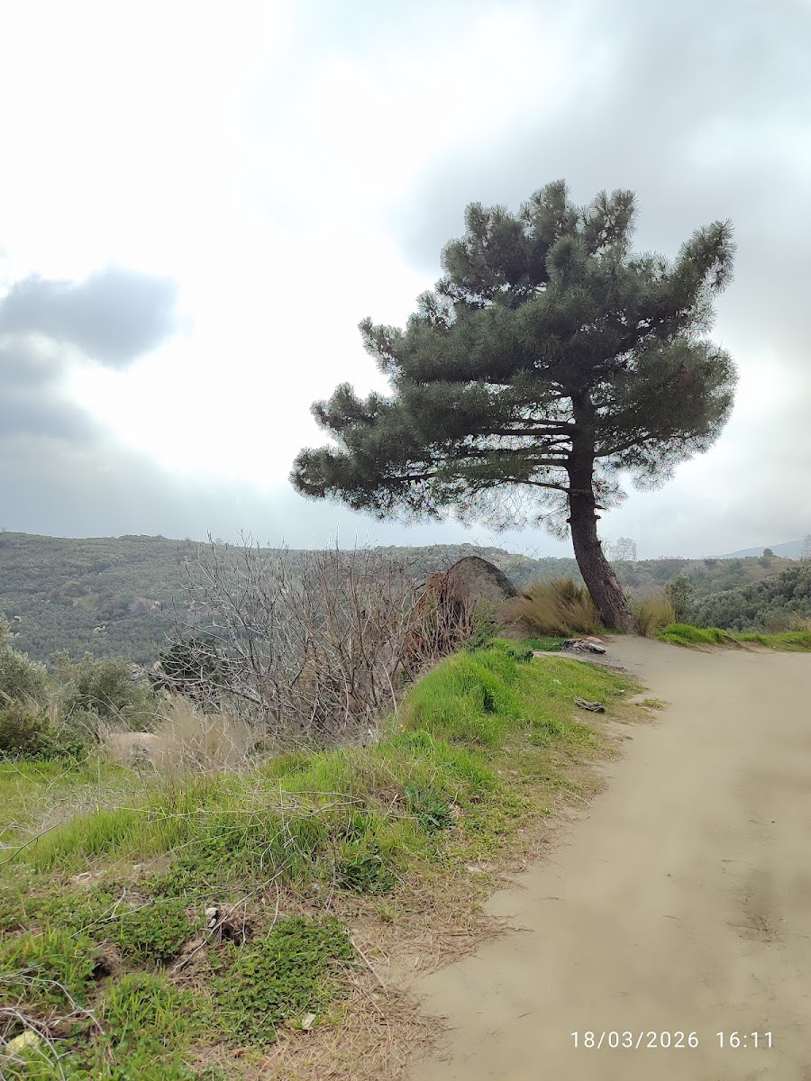 Kapıdağ Yarımadası — fotoğraf 2