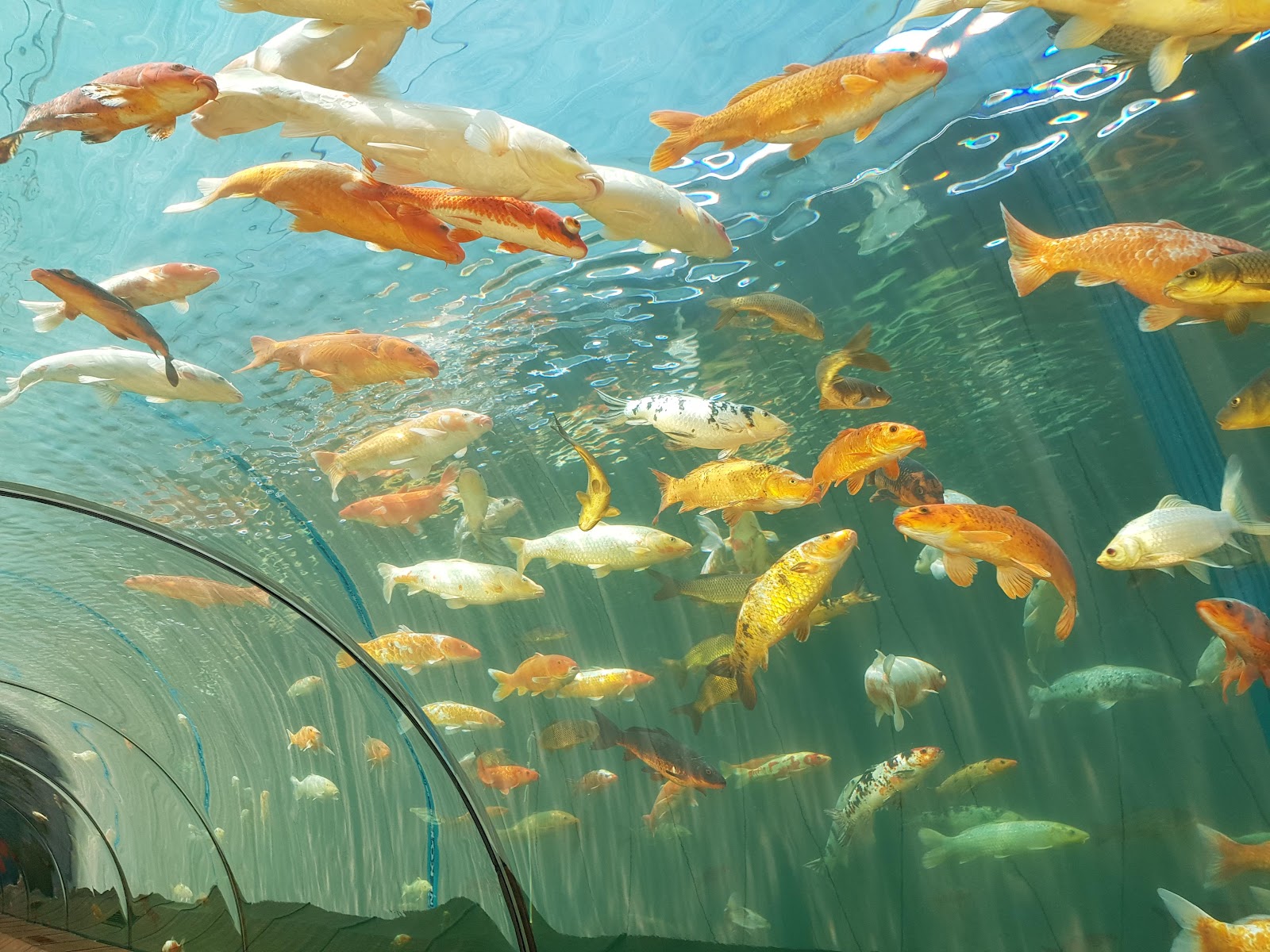 Kaplıkaya Cazibe Merkezi — fotoğraf 1