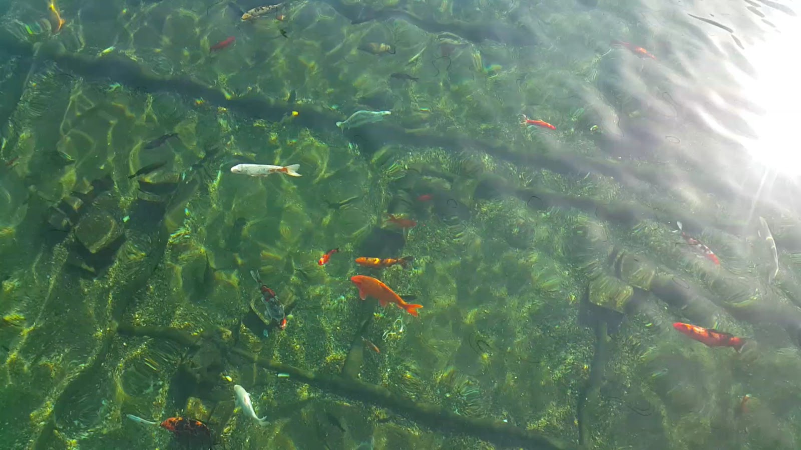 Kaplıkaya Cazibe Merkezi — fotoğraf 3