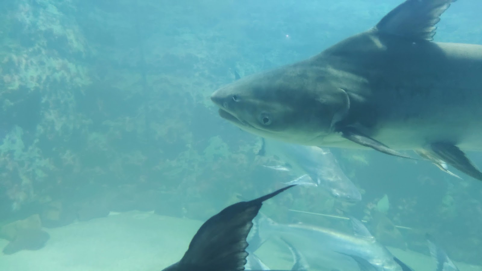 Kaplıkaya Cazibe Merkezi — fotoğraf 4