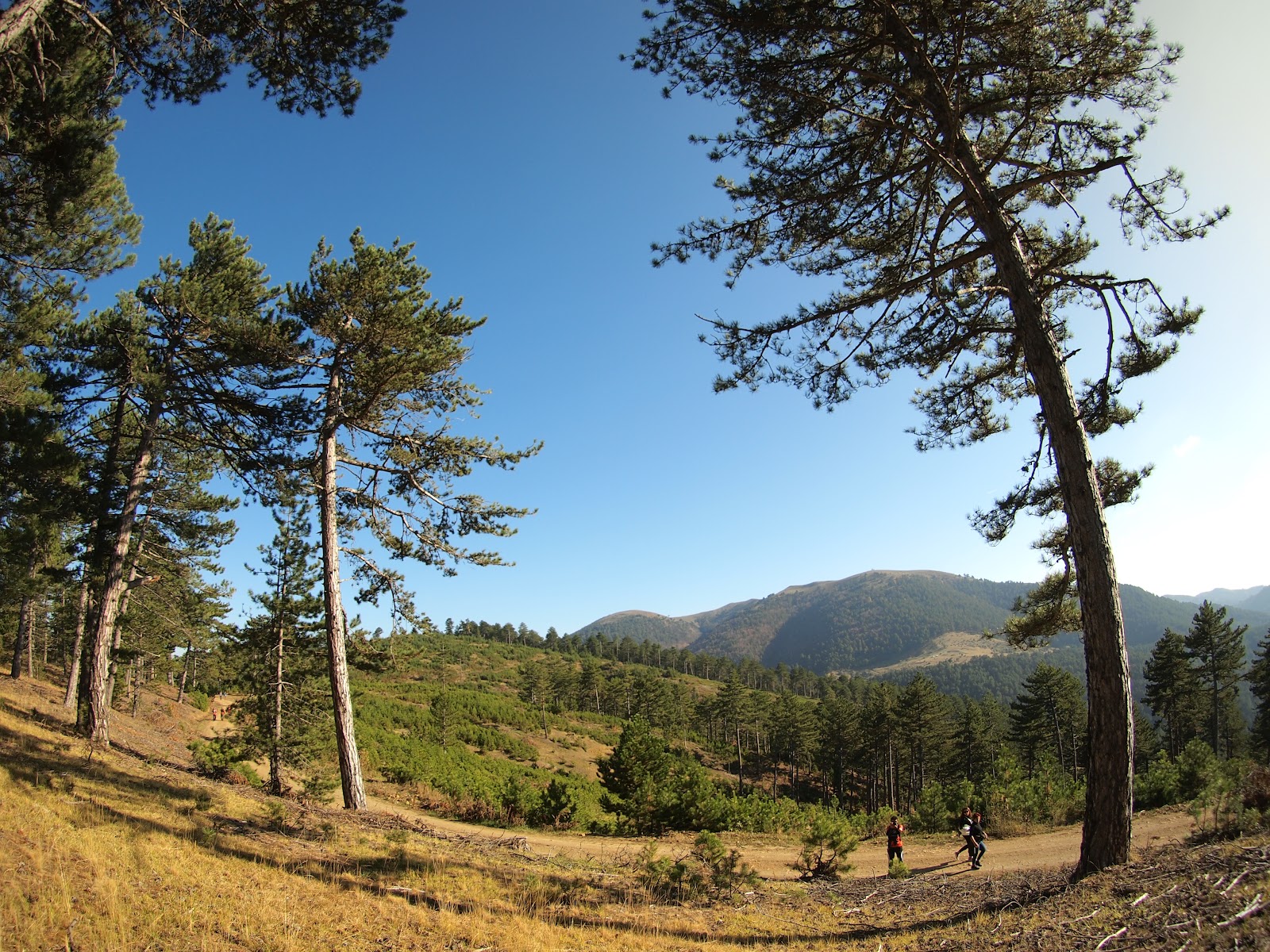 Karaca Yaylası — fotoğraf 1