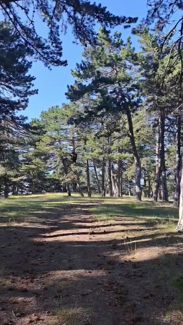 Karaca Yaylası — fotoğraf 2