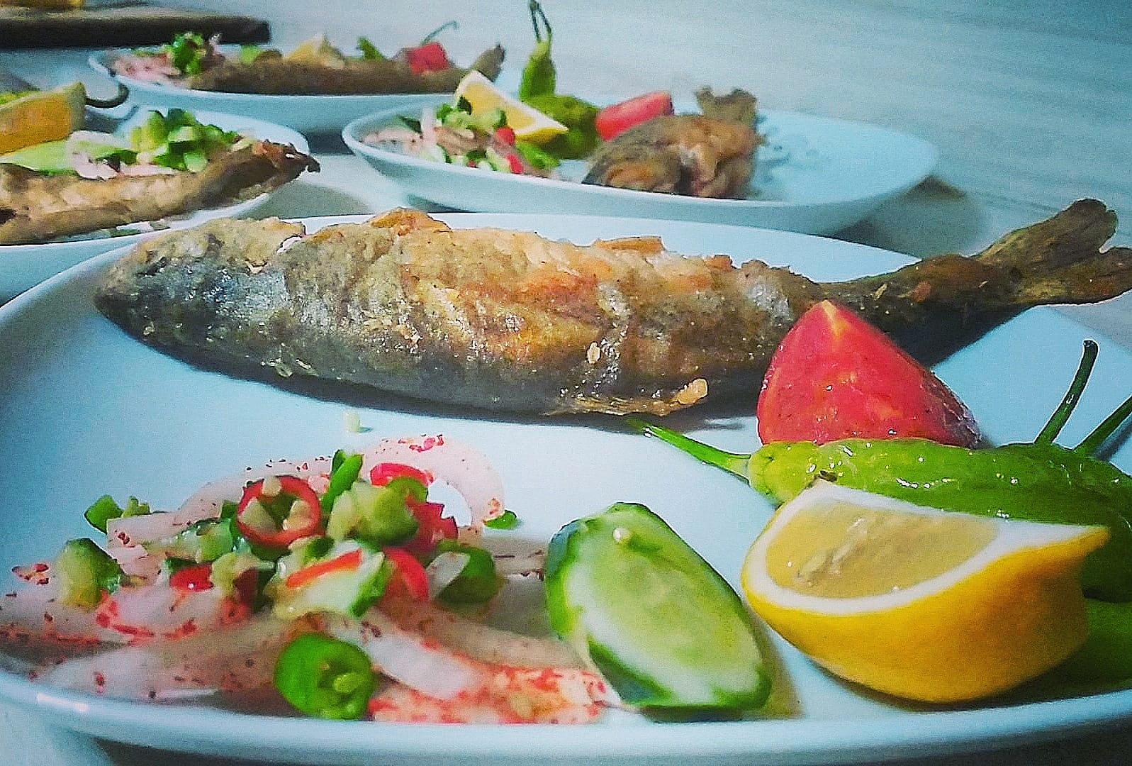 Karacasu Alabalık Tesisi Girişi — fotoğraf 1