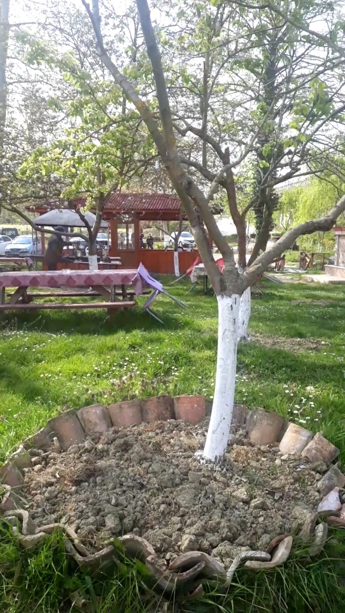 Karacasu Alabalık Tesisi Girişi — fotoğraf 3