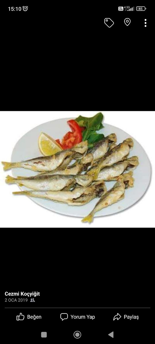 Karadeniz balık evi — fotoğraf 5