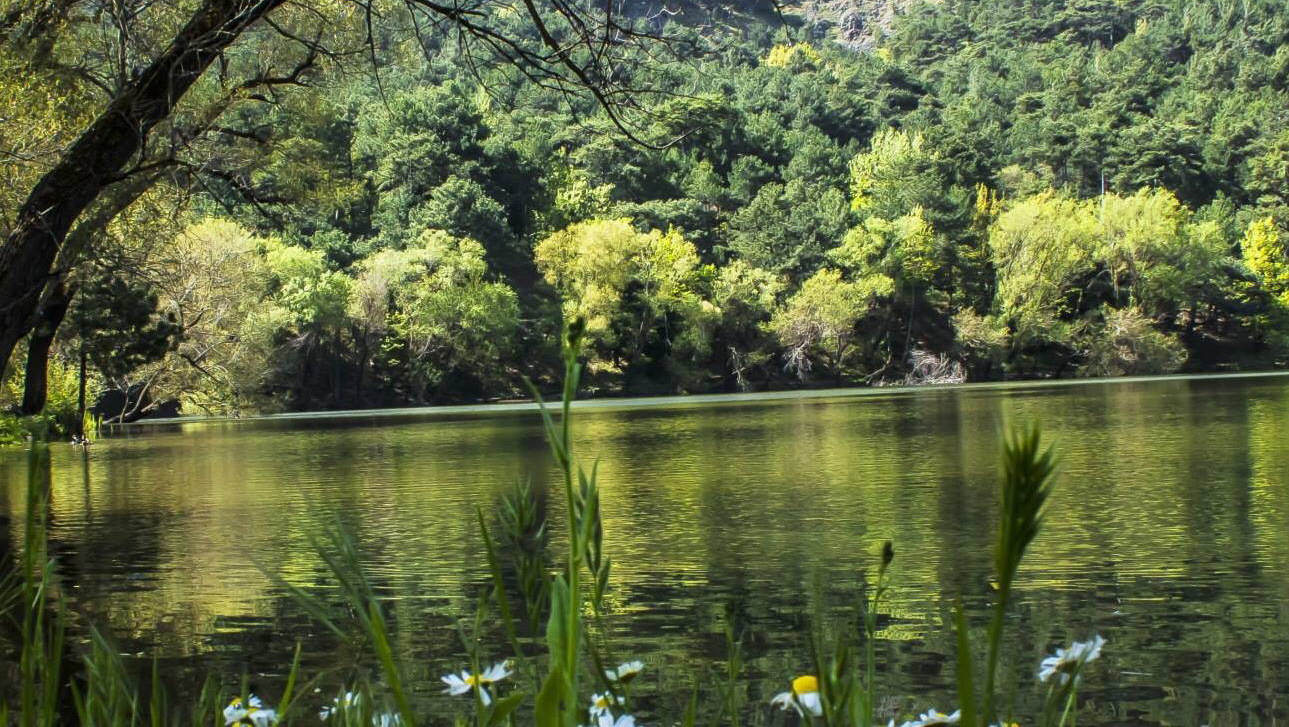 Karagöl Orman Kampı — fotoğraf 1