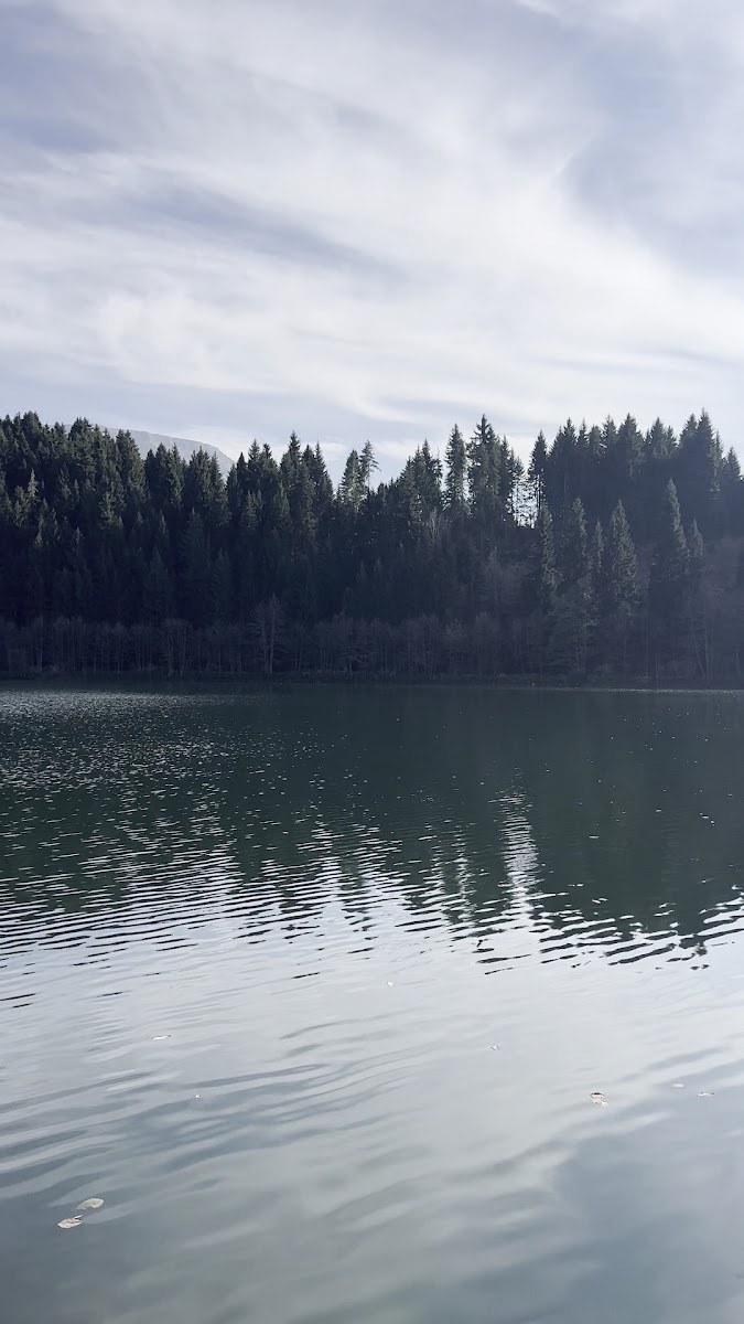 Karagöl-Sahara Milli Parkı — fotoğraf 3