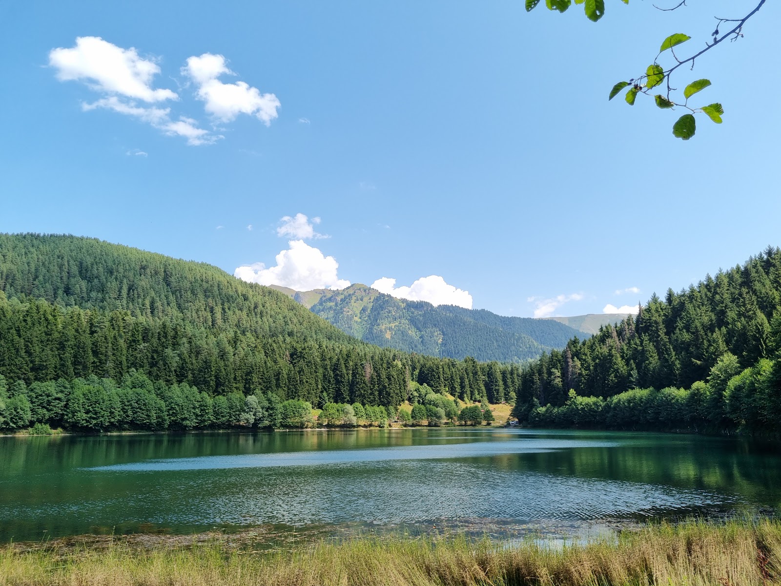 Karagöl-Sahara Milli Parkı — fotoğraf 5