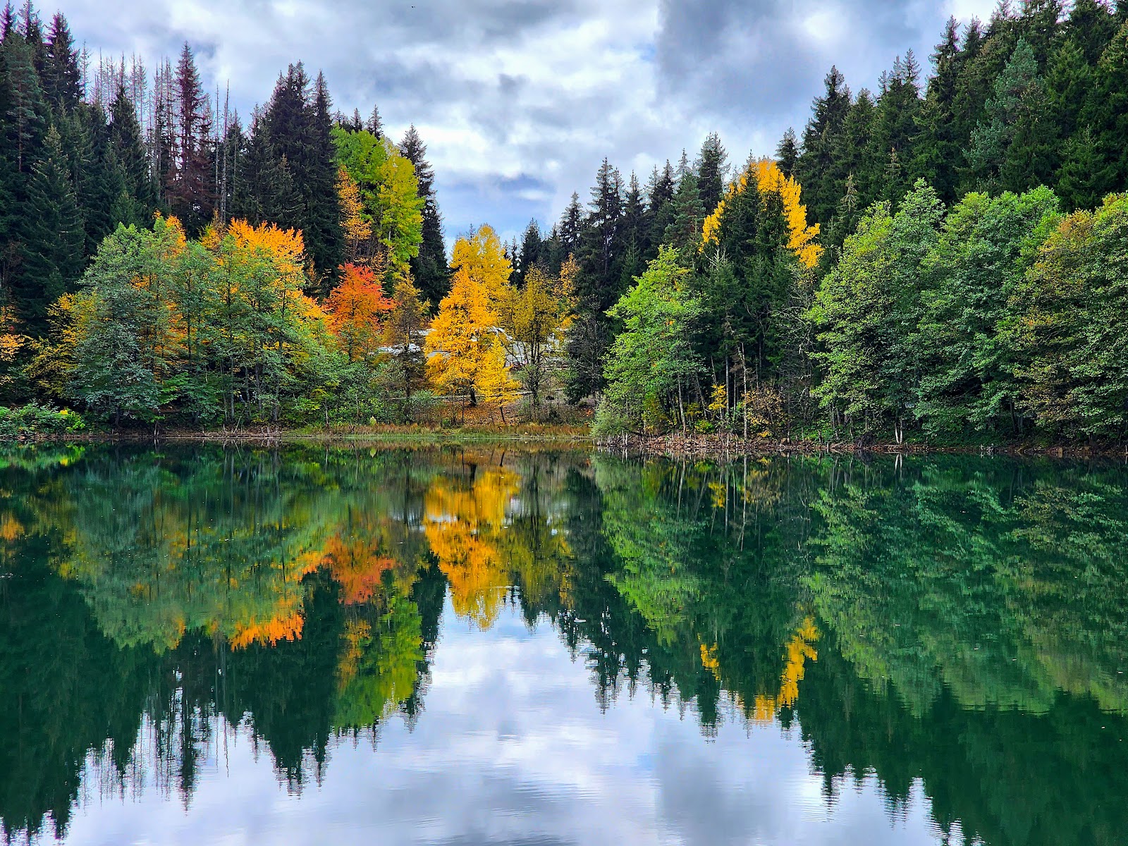 KARAGÖL-ŞAVŞAT — fotoğraf 1