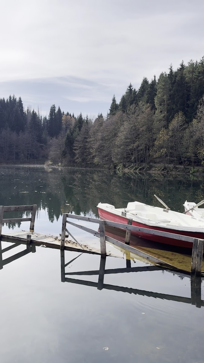 KARAGÖL-ŞAVŞAT — fotoğraf 3