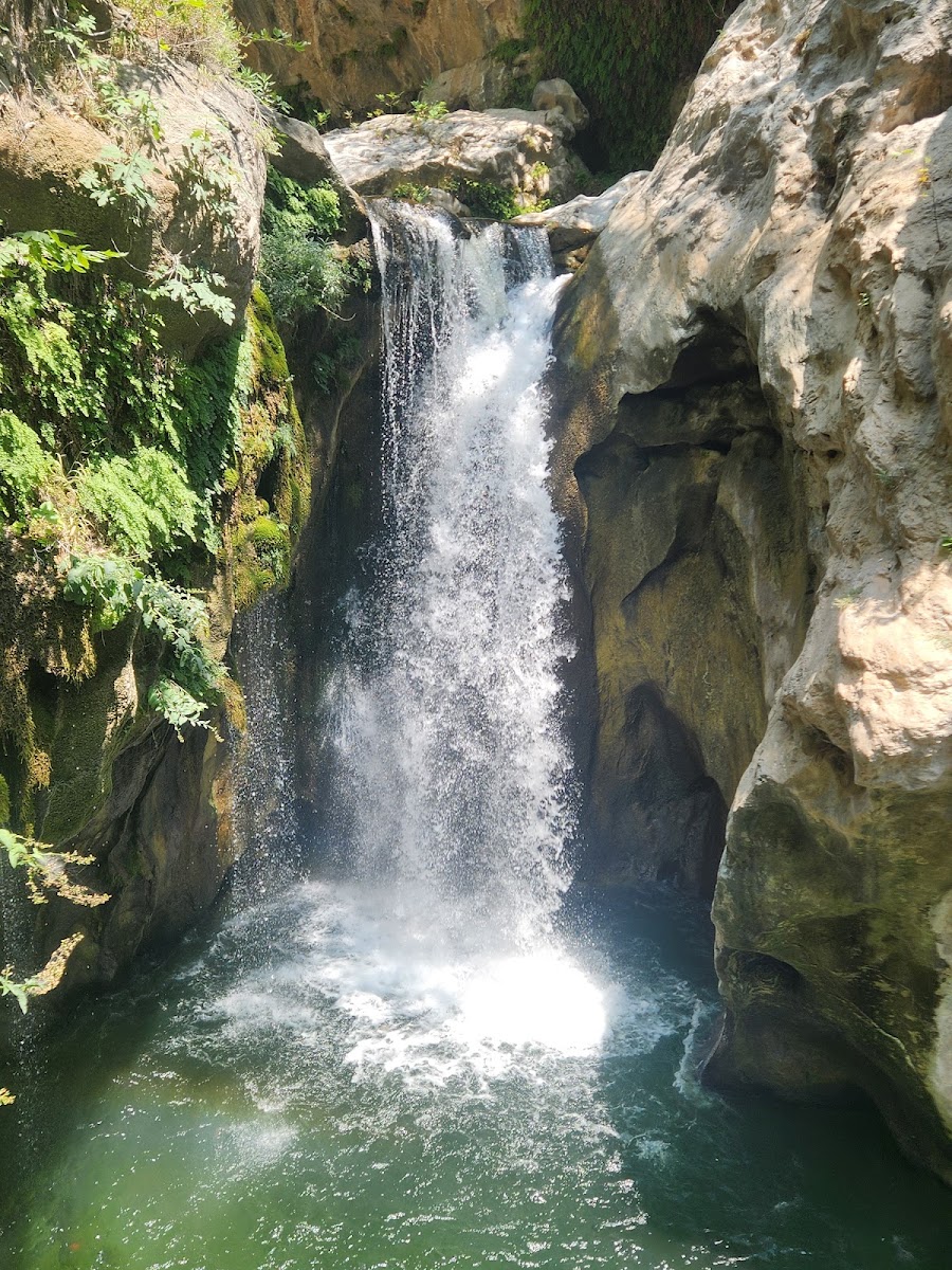 Karanlıkdere Kanyonu Tabiat Parkı — fotoğraf 1
