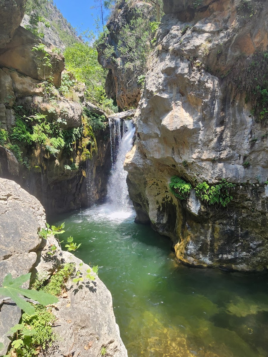 Karanlıkdere Kanyonu Tabiat Parkı — fotoğraf 2