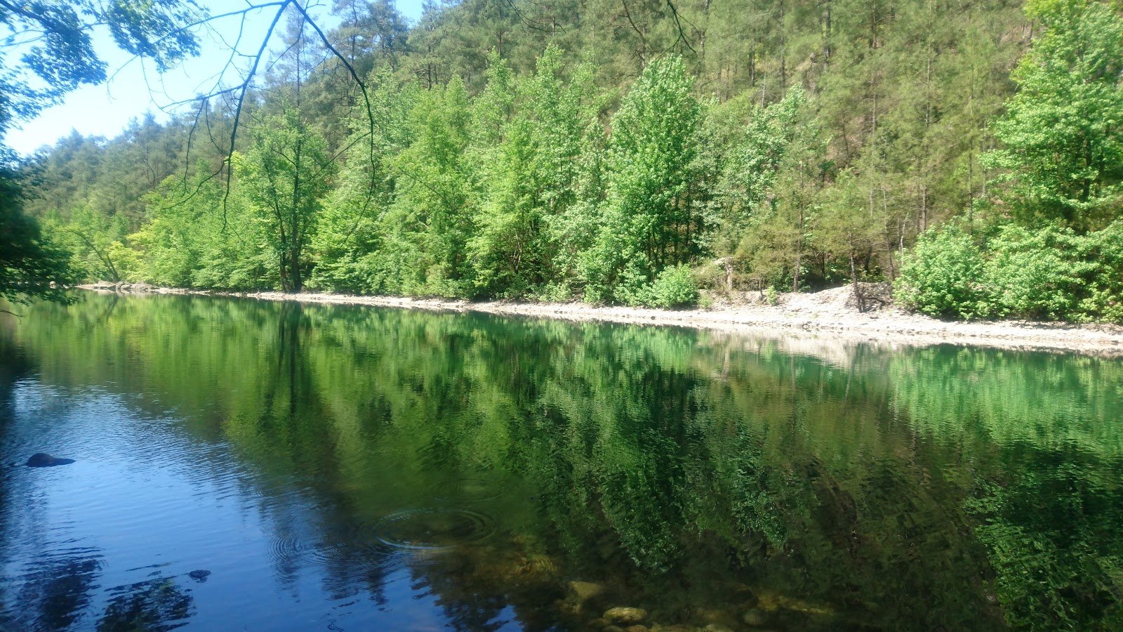Kargı Köyü Sığla Ormanı Tabiatı Koruma Alanı — fotoğraf 1