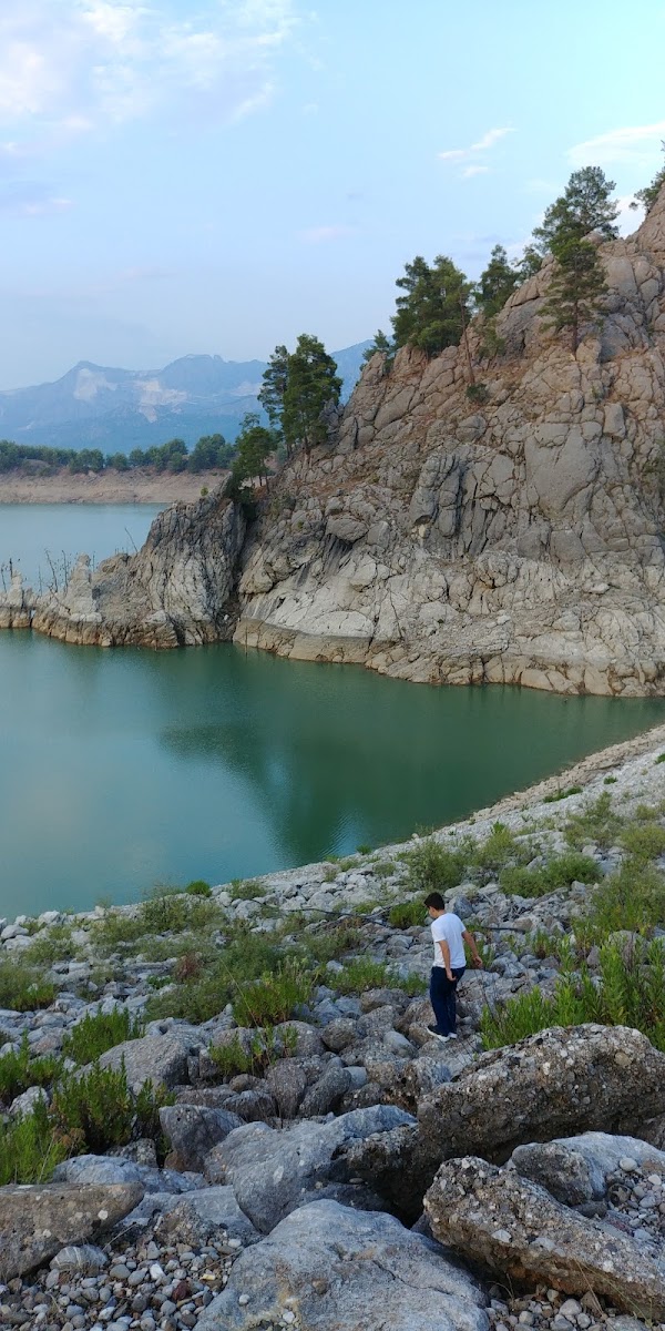 Kargı Köyü Sığla Ormanı Tabiatı Koruma Alanı — fotoğraf 5