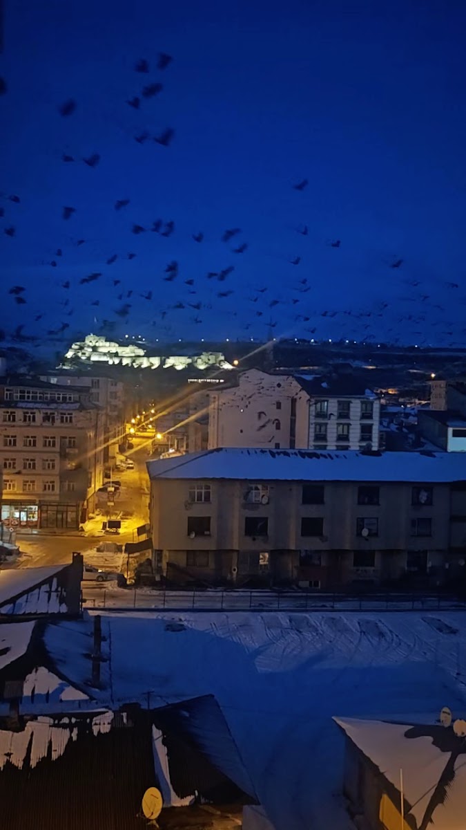 Kars Konak Hotel — fotoğraf 3