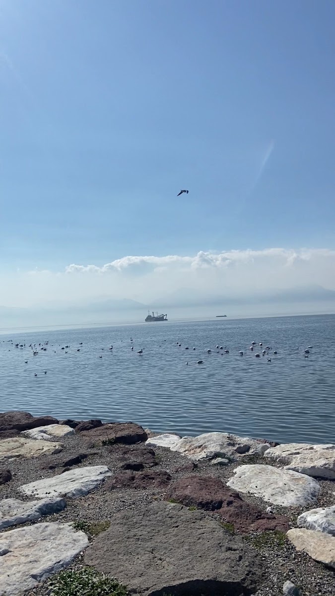 Karşıyaka Sahil — fotoğraf 3