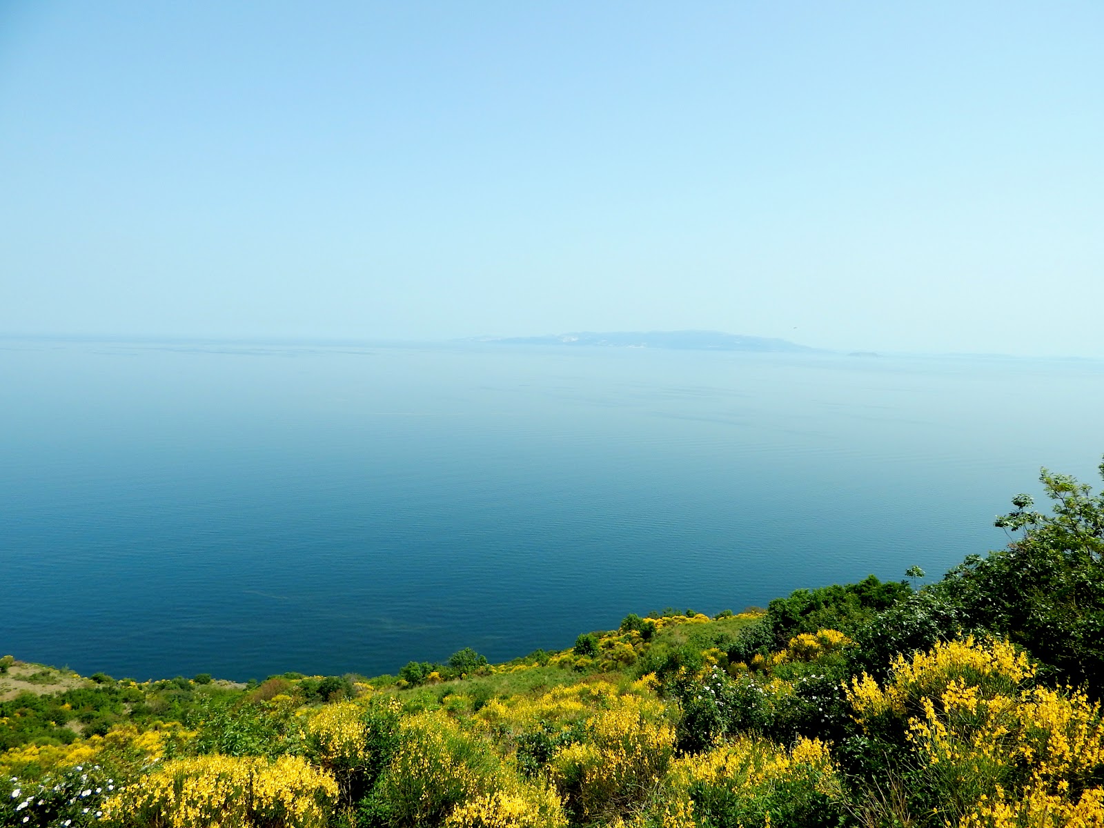 Kartaltepe Tabiat Parkı — fotoğraf 1