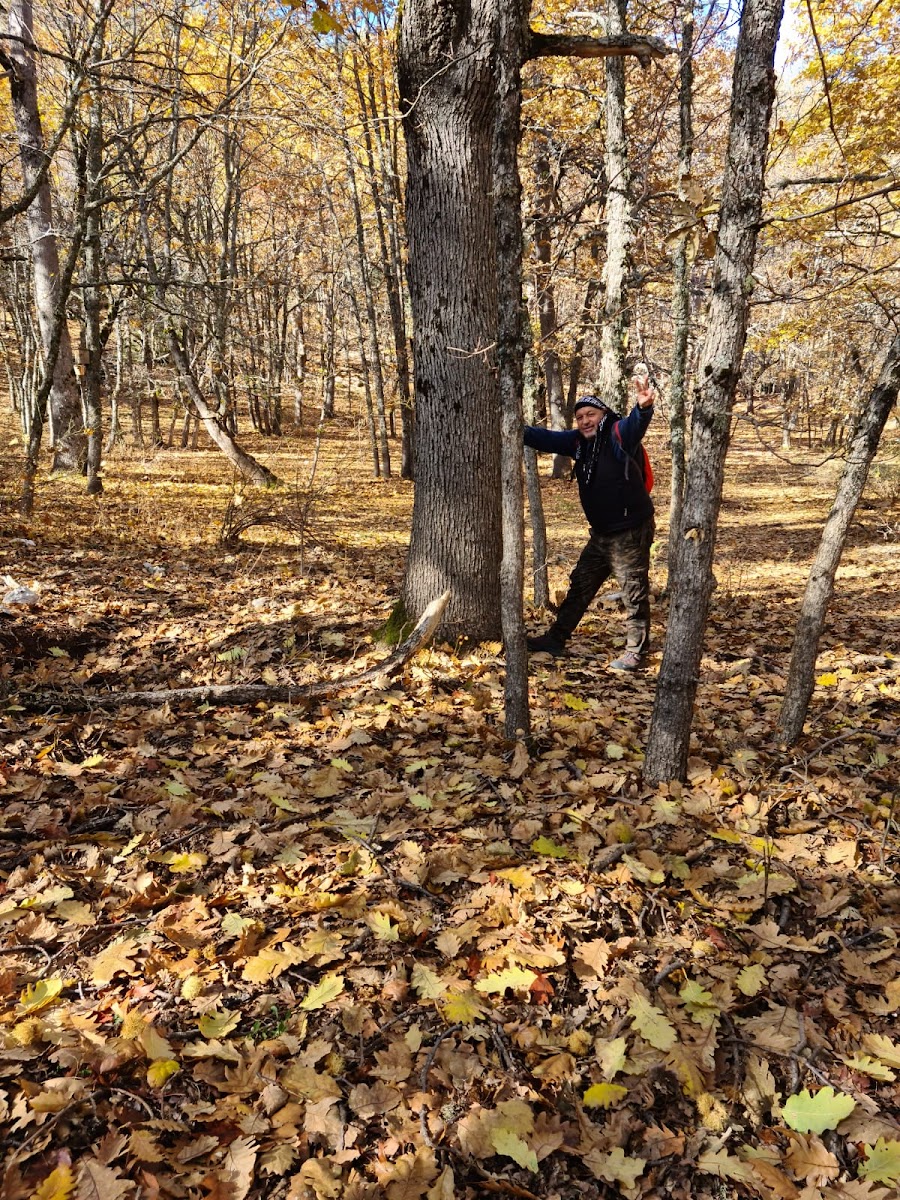 Kasnak Meşesi Tabiatı Koruma Alanı — fotoğraf 4