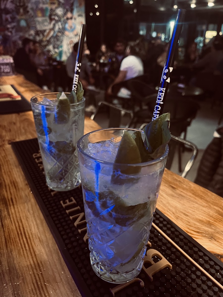 Kedi Kafe & Bistro — fotoğraf 4