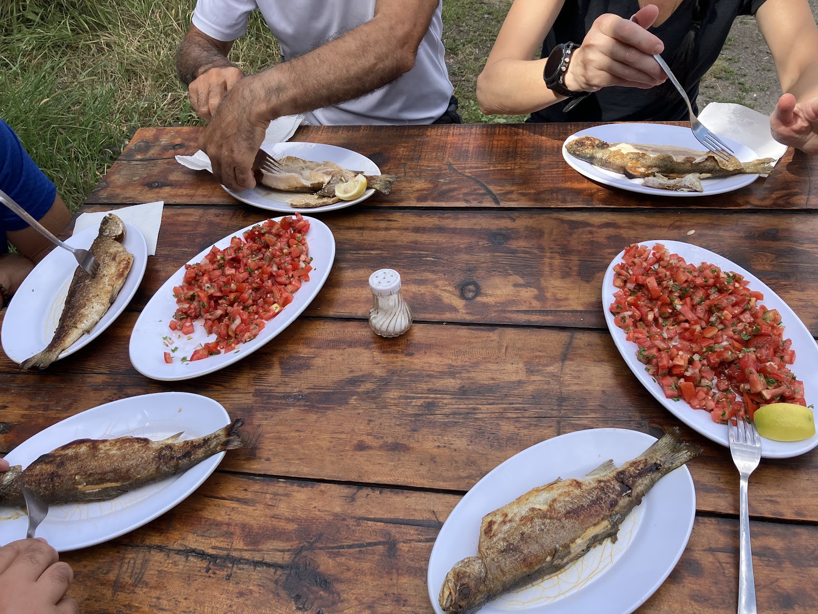 Keklik Deresi Canlı Alabalık Tesisleri — fotoğraf 4