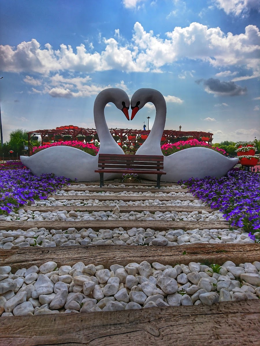 Kelebekler Vadisi Çiçek Bahçesi — fotoğraf 1