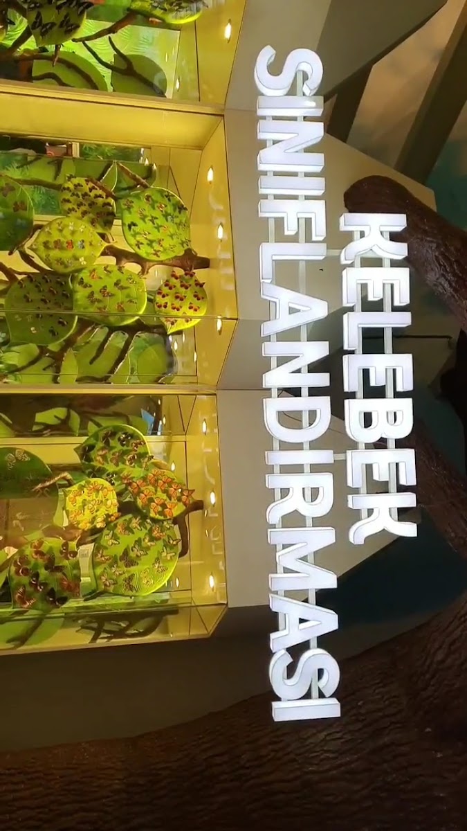 Kelebekler Vadisi Çiçek Bahçesi — fotoğraf 3