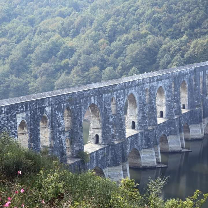 Kemerburgaz Kent Ormanı — fotoğraf 1