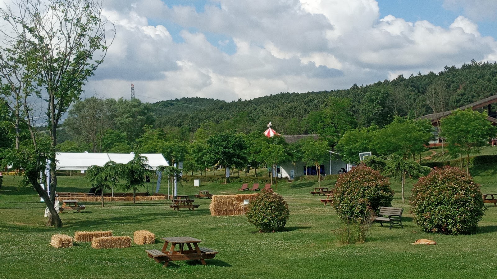 Kemerburgaz Kent Ormanı — fotoğraf 5