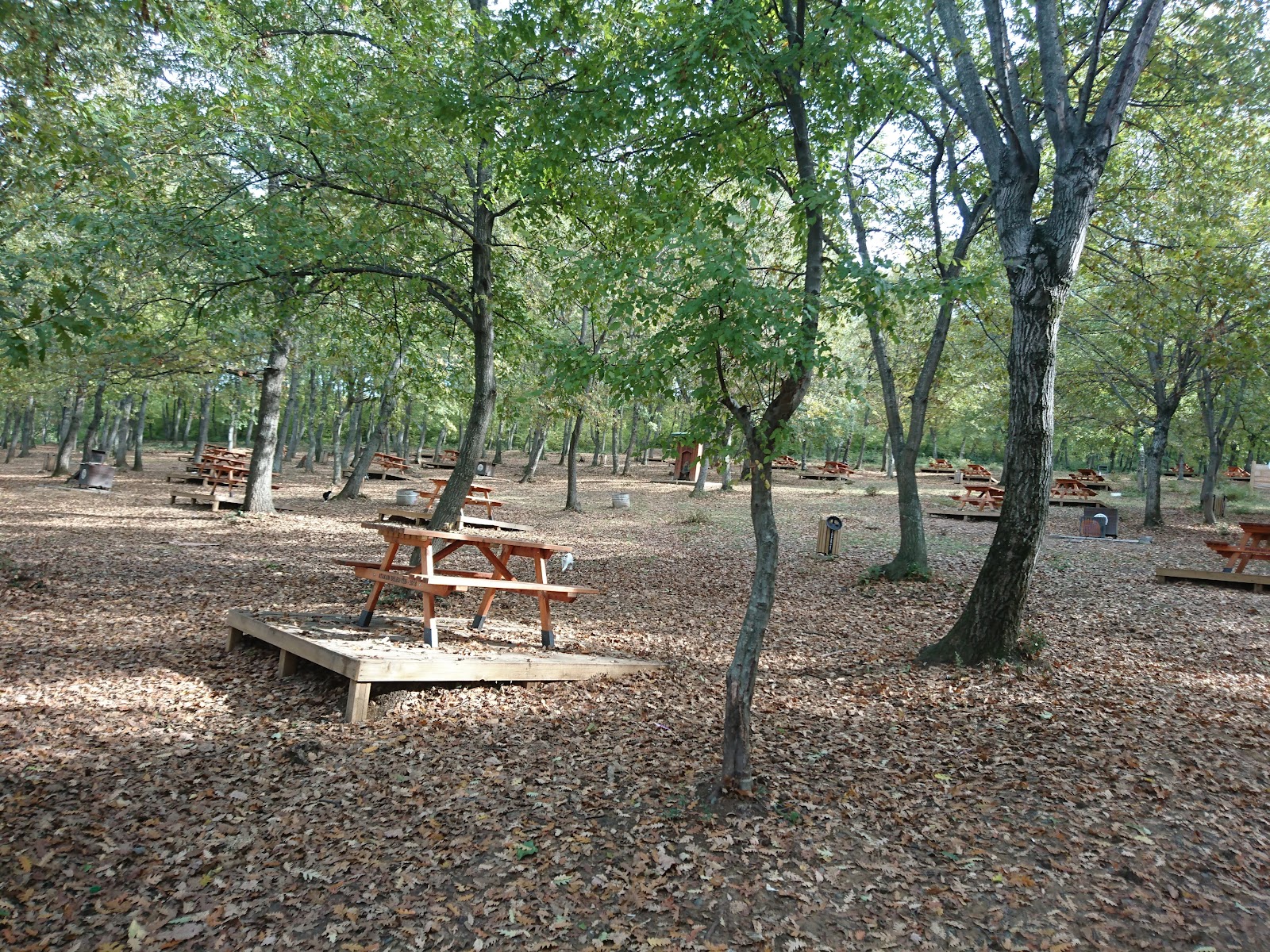 Kent Ormanı Piknik Alanı — fotoğraf 1