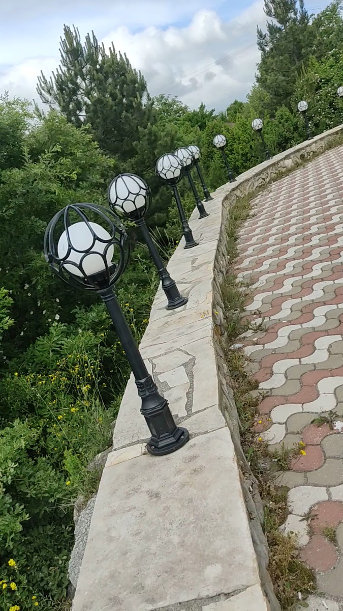 Kent Ormanı — fotoğraf 3