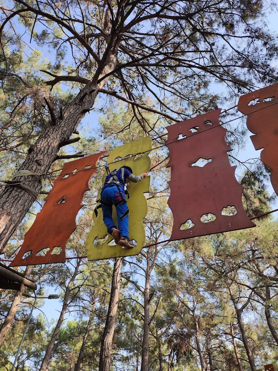 Kepez Belediyesi Kent Ormanı — fotoğraf 5