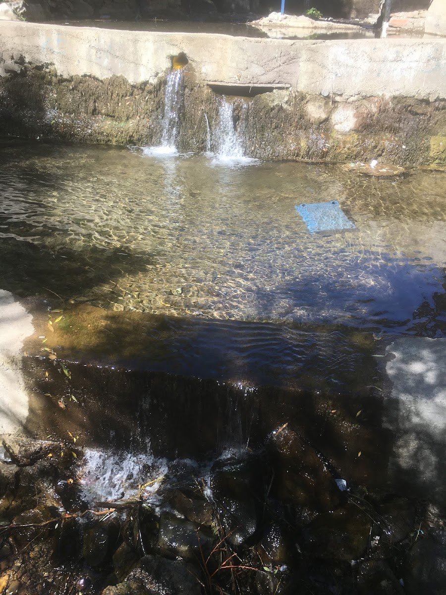 Kerek Deresi — fotoğraf 1