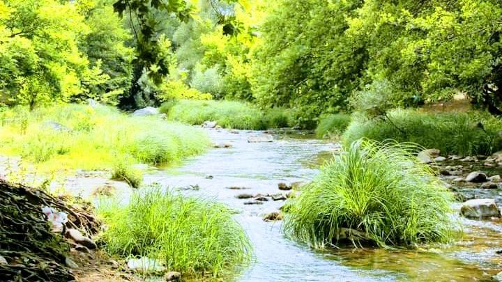 Ketenlik Deresi Piknik Alanı — fotoğraf 1