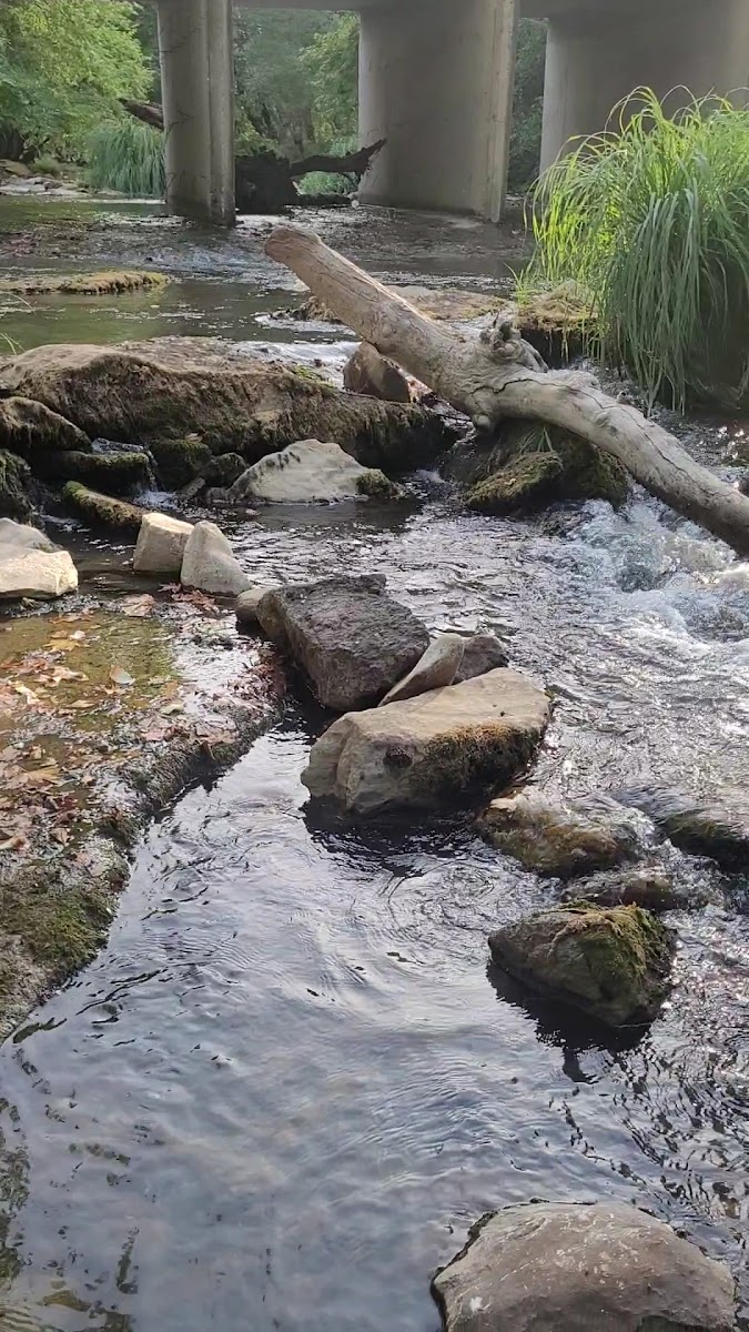 Ketenlik Deresi Piknik Alanı — fotoğraf 2