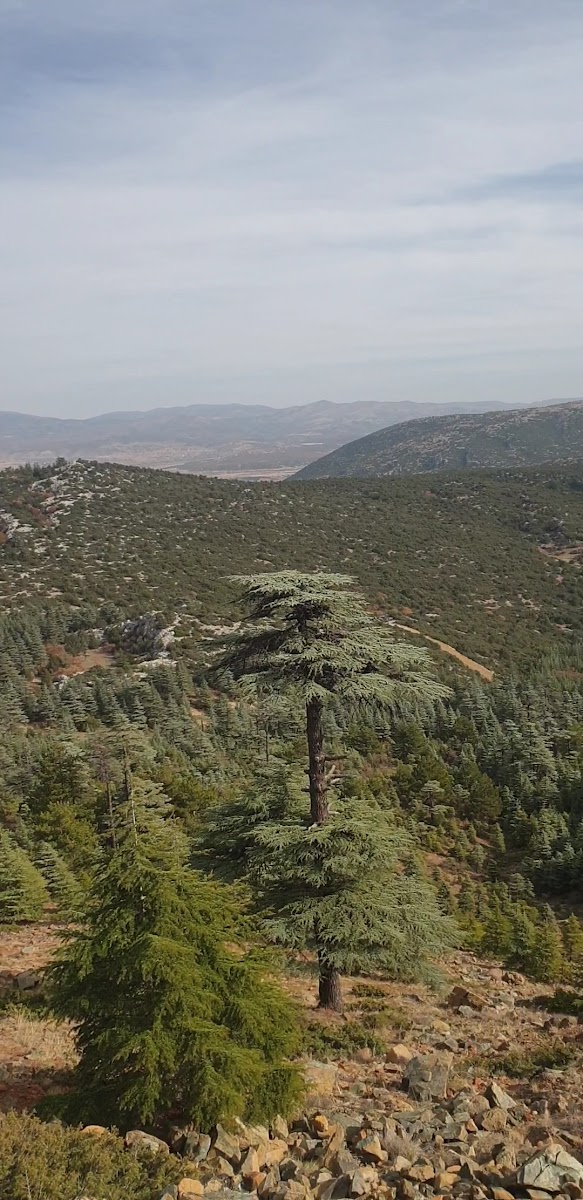 Kızıldağ Milli Parkı — fotoğraf 3