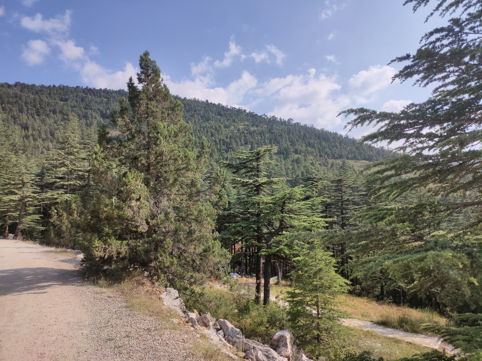 Kızıldağ Milli Parkı — fotoğraf 4