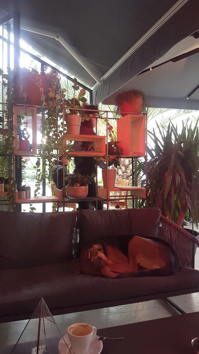 Klar Coffee Co. — fotoğraf 3