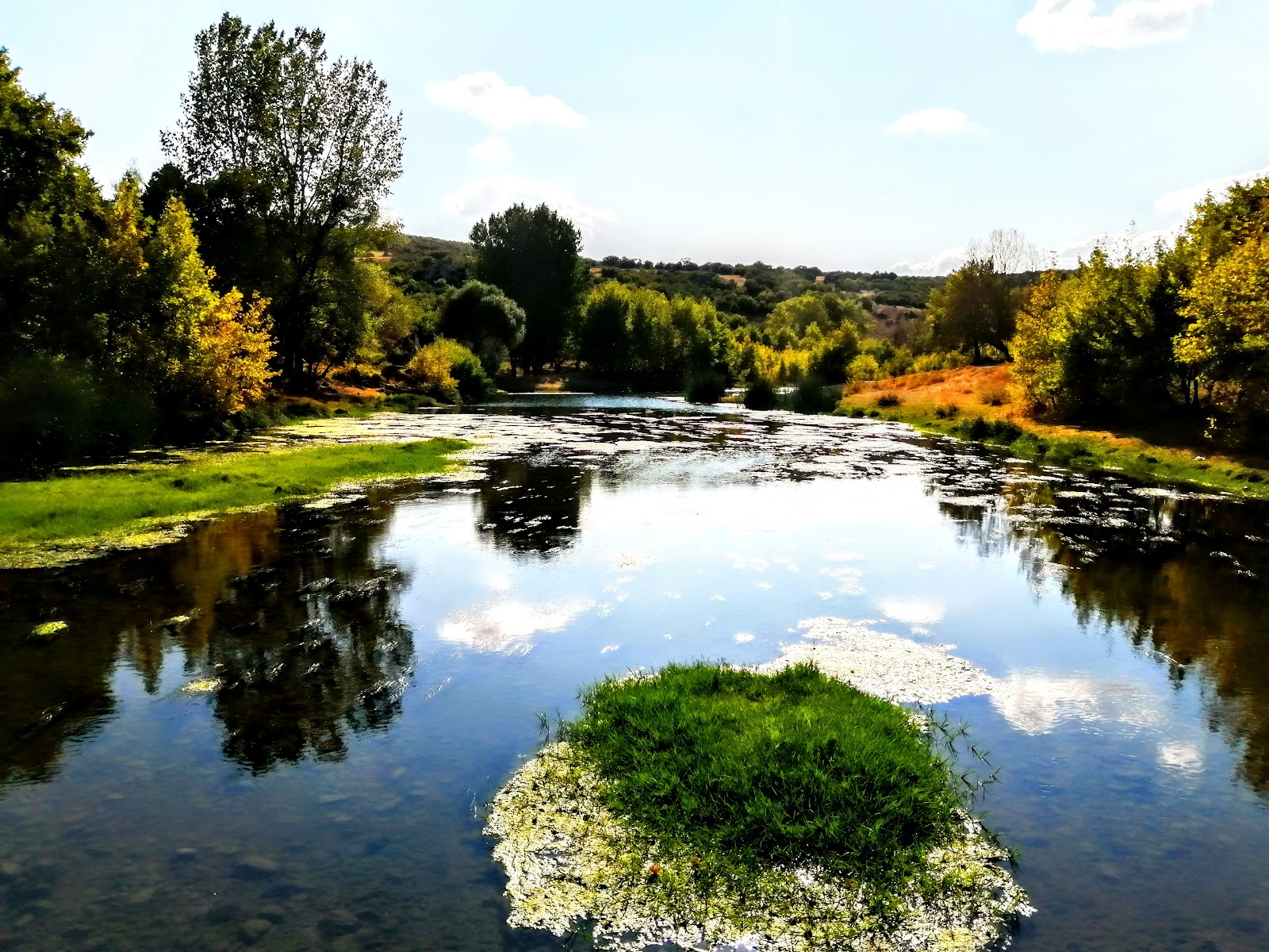 Kocaavşar Deresi Mesire Alanı — fotoğraf 1